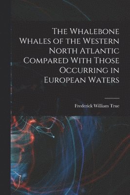 Frederick William True - Whalebone Whales of the Western North Atlantic Compared With Those Occurring in European Waters, Häftad