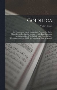 bokomslag Goidilica; or, Notes on the Gaelic Manuscripts Preserved at Turin, Milan, Berne, Leyden, the Monastery of S. Paul, Carinthia, and Cambridge, With Eight Hymns From the Liber Hymnorum, and the