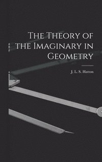bokomslag Theory of the Imaginary in Geometry