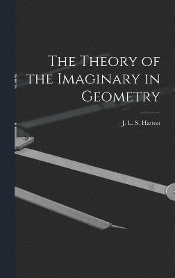 bokomslag The Theory of the Imaginary in Geometry