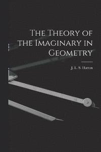 bokomslag The Theory of the Imaginary in Geometry