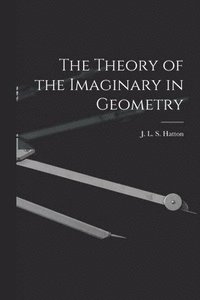 bokomslag Theory of the Imaginary in Geometry