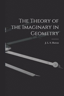 bokomslag Theory of the Imaginary in Geometry