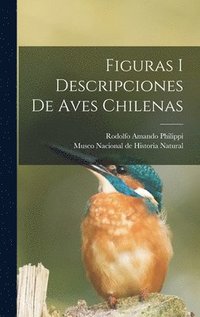bokomslag Figuras i descripciones de aves chilenas