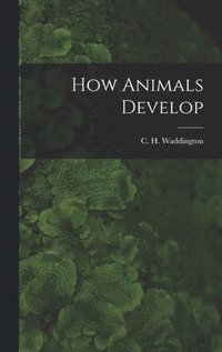 bokomslag How Animals Develop