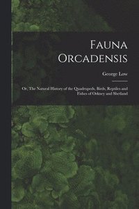 bokomslag Fauna Orcadensis; or, The Natural History of the Quadrupeds, Birds, Reptiles and Fishes of Orkney and Shetland