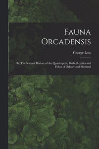 bokomslag Fauna Orcadensis; or, The Natural History of the Quadrupeds, Birds, Reptiles and Fishes of Orkney and Shetland