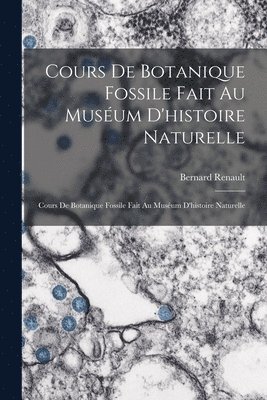 Cours De Botanique Fossile Fait Au Musum D'histoire Naturelle 1