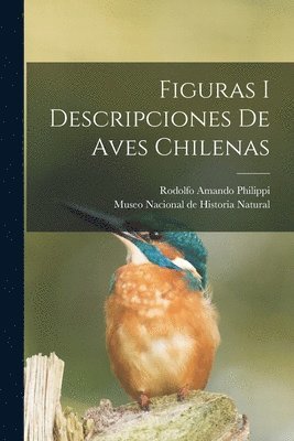 bokomslag Figuras i descripciones de aves chilenas