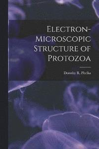 bokomslag Electron-microscopic Structure of Protozoa