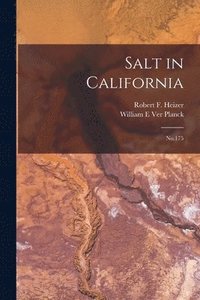 bokomslag Salt in California