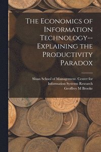 bokomslag Economics of Information Technology--explaining the Productivity Paradox