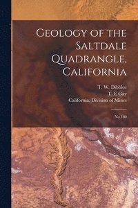 bokomslag Geology of the Saltdale Quadrangle, California