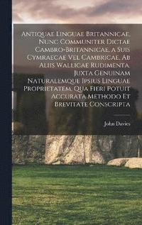 bokomslag Antiquae linguae britannicae, nunc communiter dictae cambro-britannicae, a suis cymraecae vel cambricae, ab aliis wallicae rudimenta. Juxta genuinam naturalemque ipsius linguae proprietatem, qua