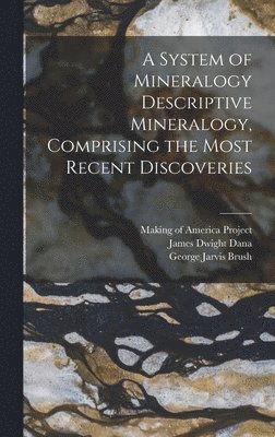 James Dwight Dana, George Jarvis Brush, Making of America Project - System of Mineralogy Descriptive Mineralogy, Comprising the Most Recent Discoveries, Inbunden