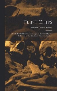 bokomslag Flint Chips