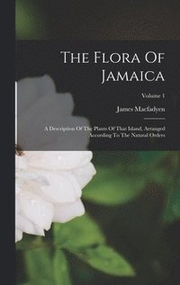 bokomslag The Flora Of Jamaica