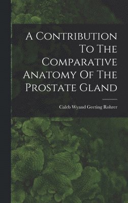 bokomslag Contribution To The Comparative Anatomy Of The Prostate Gland