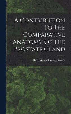 A Contribution To The Comparative Anatomy Of The Prostate Gland 1