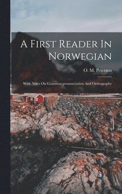 A First Reader In Norwegian 1