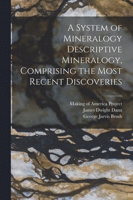 James Dwight Dana, George Jarvis Brush, Making of America Project - System of Mineralogy Descriptive Mineralogy, Comprising the Most Recent Discoveries, Häftad