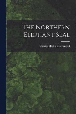 Northern Elephant Seal