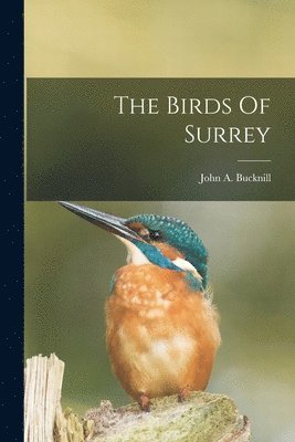 bokomslag Birds Of Surrey
