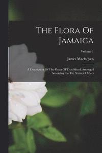 bokomslag The Flora Of Jamaica