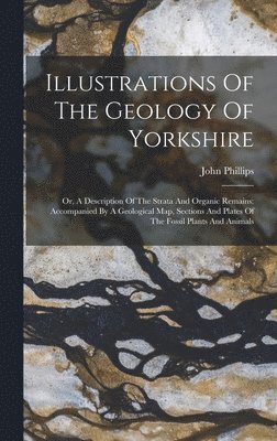 bokomslag Illustrations Of The Geology Of Yorkshire