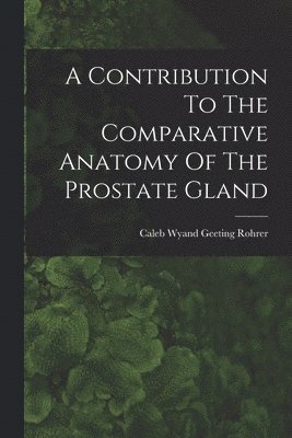 bokomslag A Contribution To The Comparative Anatomy Of The Prostate Gland