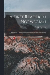 bokomslag A First Reader In Norwegian