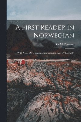 A First Reader In Norwegian 1