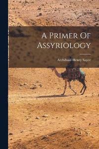 bokomslag A Primer Of Assyriology
