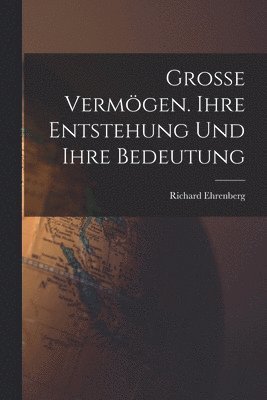 bokomslag Grosse Vermgen. Ihre Entstehung und ihre Bedeutung