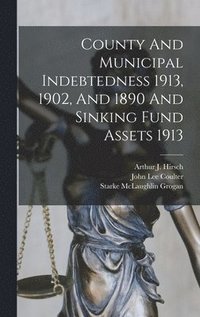 bokomslag County And Municipal Indebtedness 1913, 1902, And 1890 And Sinking Fund Assets 1913