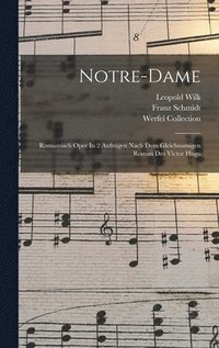 bokomslag Notre-dame