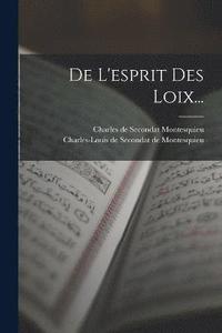 bokomslag De L'esprit Des Loix...