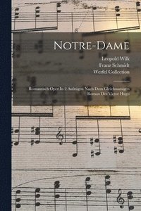 bokomslag Notre-dame