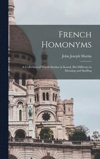 bokomslag French Homonyms