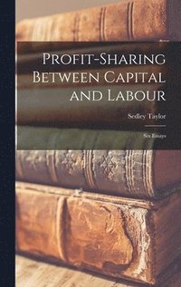 bokomslag Profit-Sharing Between Capital and Labour