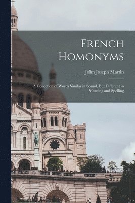 bokomslag French Homonyms