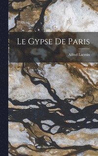 bokomslag Le Gypse de Paris