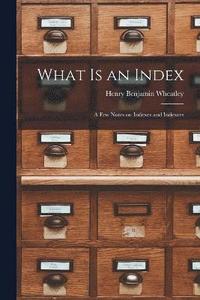 bokomslag What is an Index