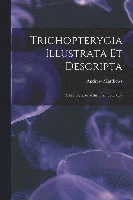 Trichopterygia Illustrata Et Descripta 1