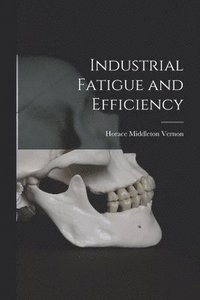 bokomslag Industrial Fatigue and Efficiency