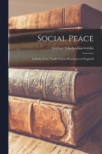 bokomslag Social Peace