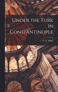 bokomslag Under the Turk in Constantinople