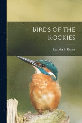 bokomslag Birds of the Rockies