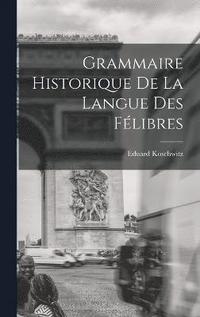 bokomslag Grammaire Historique de la Langue des Flibres