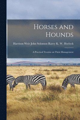 Horses and Hounds 1